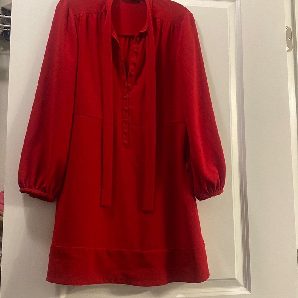 Red Zara dress